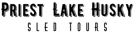 A green background with the word lake in black letters.